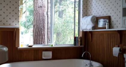 Spectacular Riverside Getaway Cabin with Claw Foot Bathtub in Castella, California