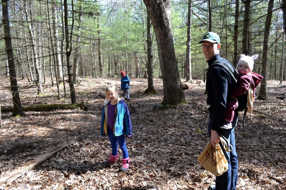 Eco-Friendly, Abstract Treehouse Surrounded by Wildlife and Hiking ...