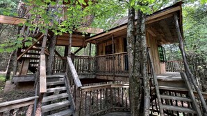 Unclassified image, 3 of 28, button - Eco-Friendly, Abstract Treehouse Surrounded by Wildlife and Hiking Trails For a Special Getaway in Sparrow Bush, New York (Sparrow Bush)