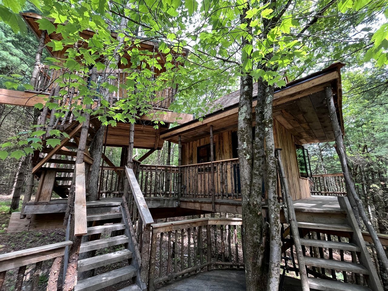Eksteriør