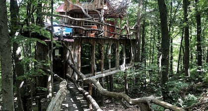 Uniquely Crafted Tree House Rental near Lake Saint Catherine, Vermont