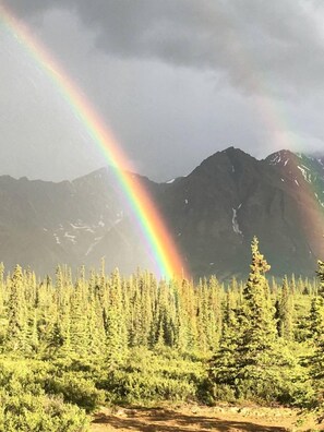 Miscellaneous - Glamping Yurt Rental near Denali Park for a Vacation in Alaska (Cantwell)