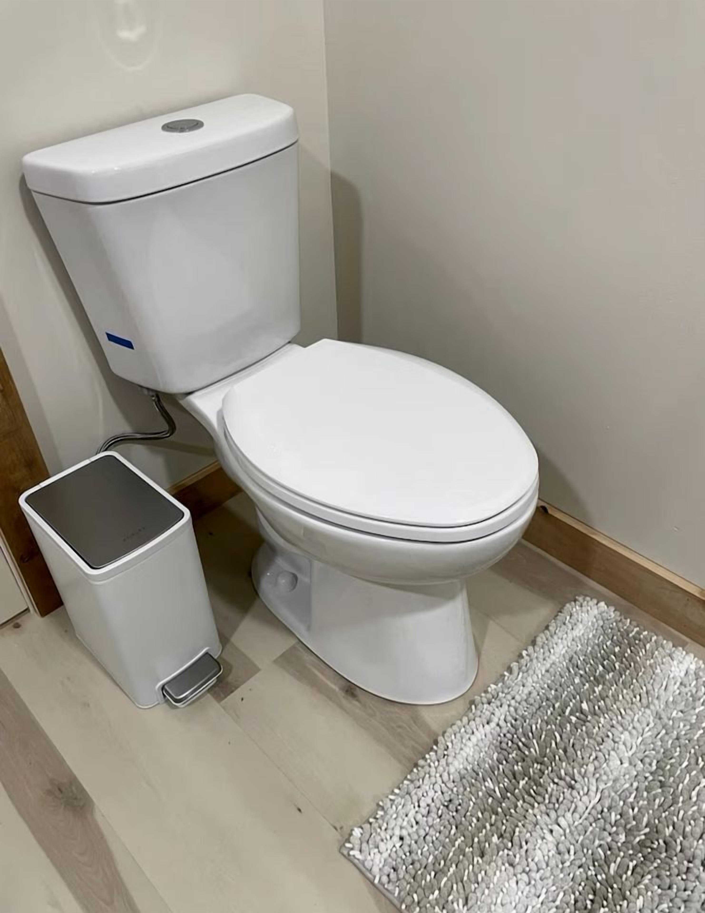 Inodoro con sistema bidé, un cubo de basura y un felpudo texturizado en el suelo.