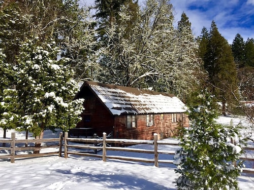Rustic Cabin Rental in a Wild Meadow near Crater Lake National Park, Oregon
