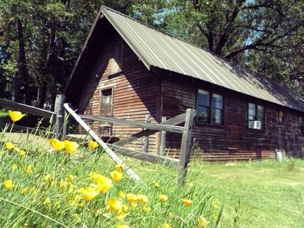 Una cabaña de madera rústica con techo inclinado, rodeada por una valla de madera y un área verde con flores amarillas.