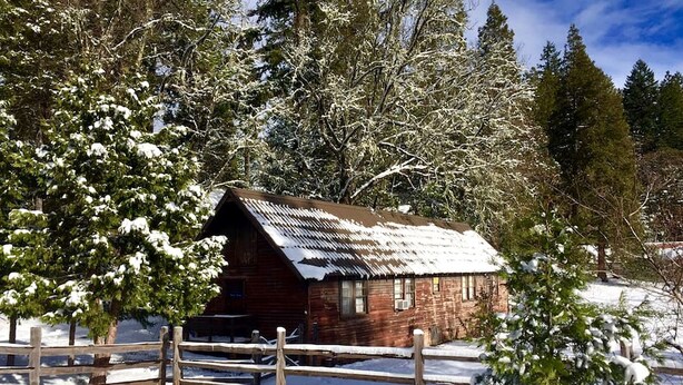 A rustic cabin with a sloped roof, surrounded by snow-covered trees and a wooden fence. - Rustic Cabin Rental in a Wild Meadow near Crater Lake National Park, Oregon (Prospect)