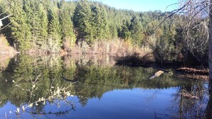 A calm lake surrounded by dense forest. - Rustic Cabin Rental in a Wild Meadow near Crater Lake National Park, Oregon (Prospect)