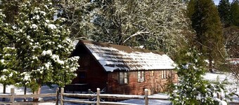 Rustic Cabin Rental in a Wild Meadow near Crater Lake National Park, Oregon