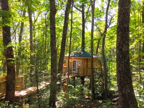 Una cabaña tipo casa en árbol rodeada de bosque.