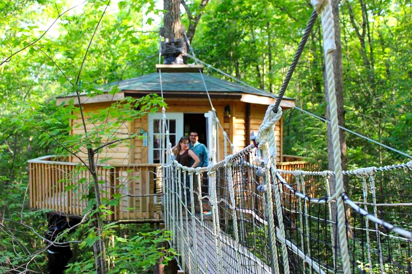 A wooden treehouse with a rope bridge, surrounded by dense forest.