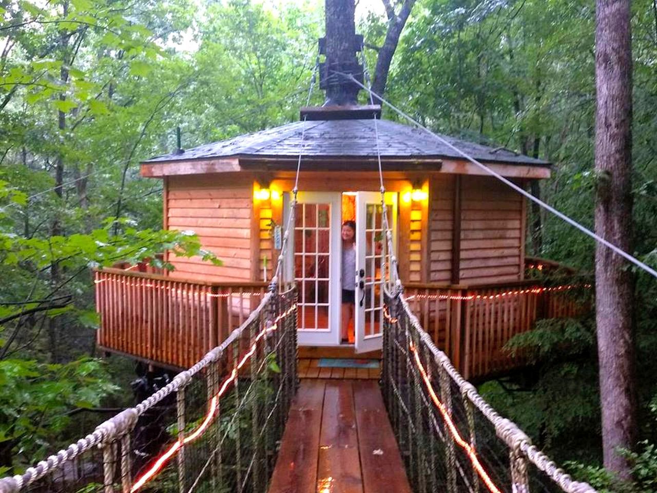 A wooden cabin with a rope bridge entrance, surrounded by trees.