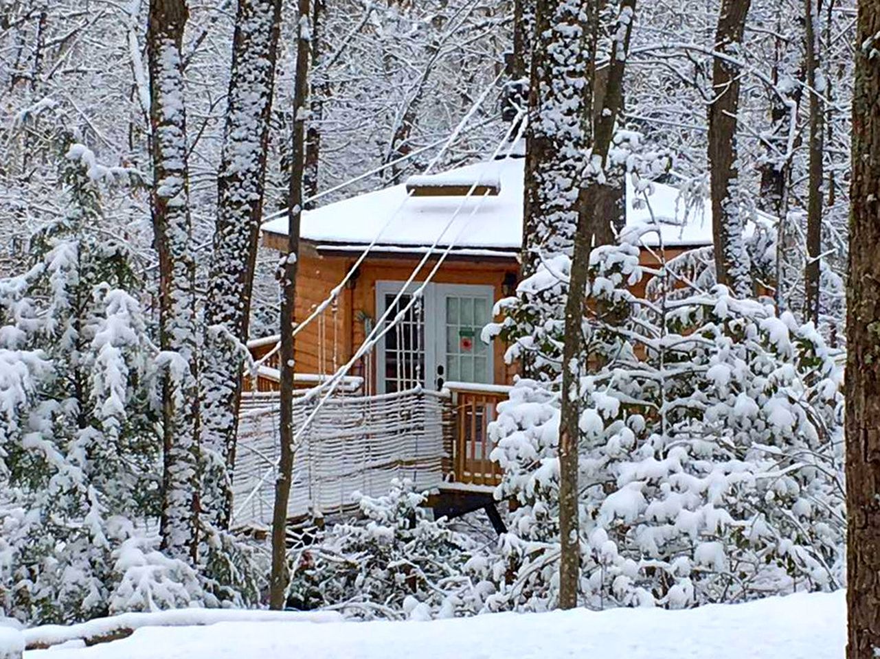 A cabin surrounded by snow-covered trees.