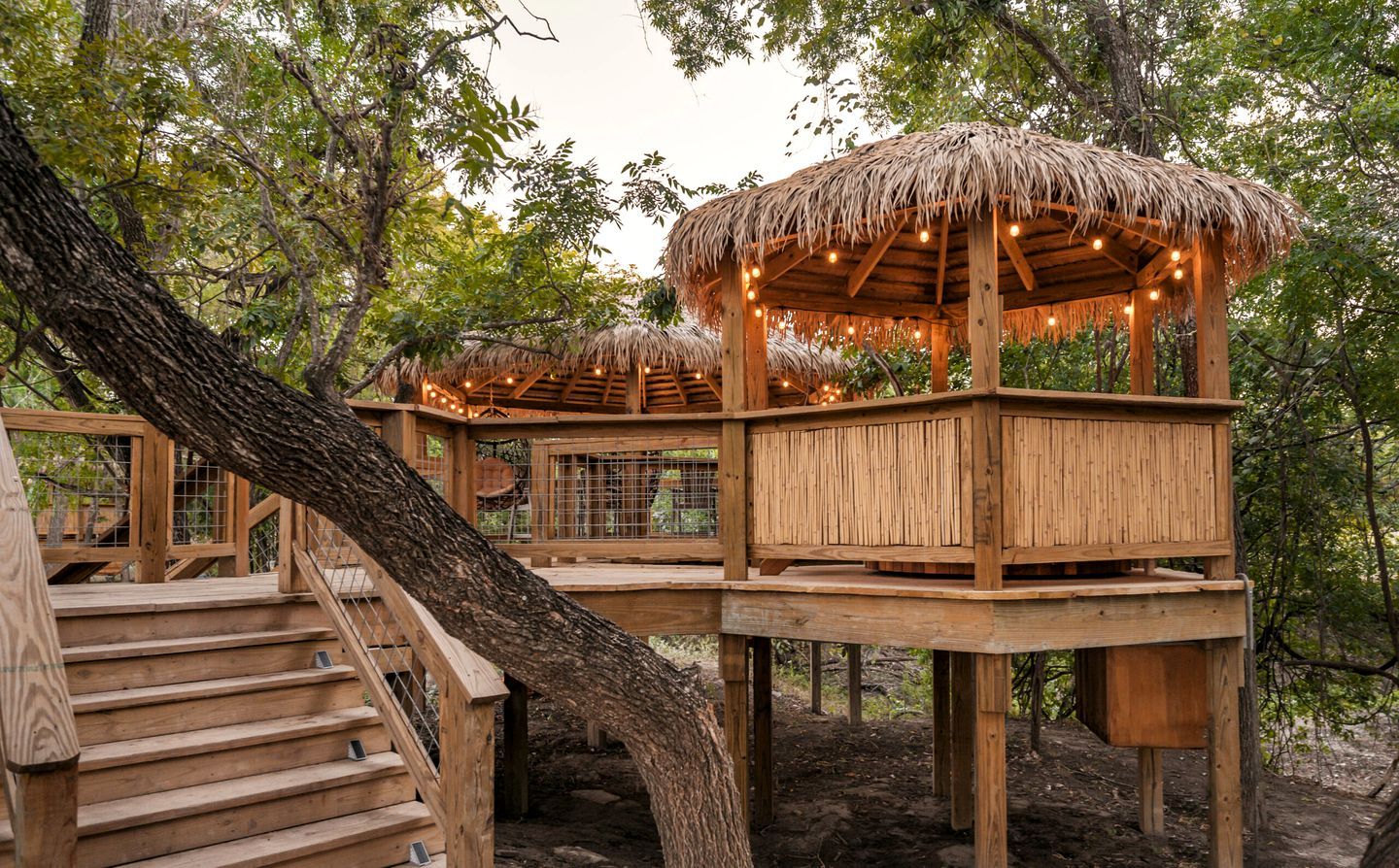 A wooden treehouse structure with a thatched roof and string lights, surrounded by trees.