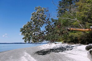 A beach with a clear sky, a tree, and a rocky shoreline.