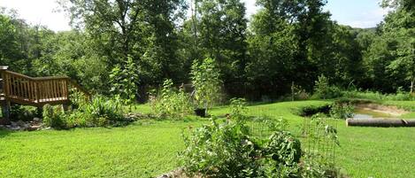A garden with a wooden deck, a grassy lawn, and various plants.