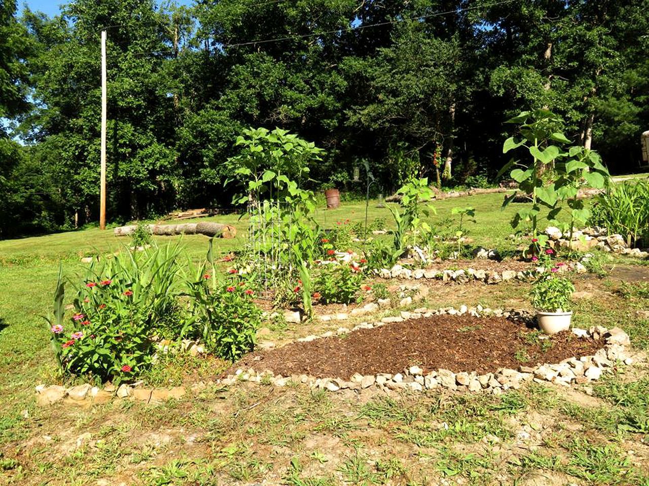 A garden with raised beds, a variety of plants, and a stone border.