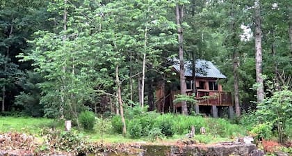 Rustic Cabin Rental with Stunning Forest Views in the Ozarks, Missouri
