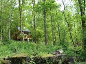 A rustic cabin surrounded by dense forest. - Rustic Cabin Rental with Stunning Forest Views in the Ozarks, Missouri (Salem)