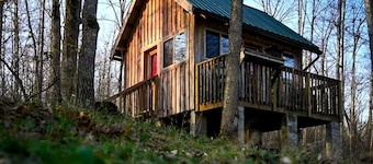 Rustic Cabin Rental with Stunning Forest Views in the Ozarks, Missouri
