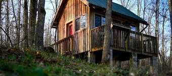 Rustic Cabin Rental with Stunning Forest Views in the Ozarks, Missouri
