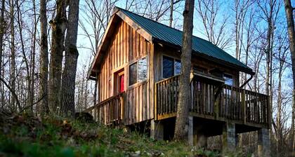 Rustic Cabin Rental with Stunning Forest Views in the Ozarks, Missouri