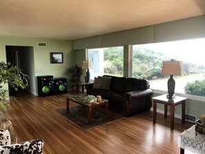TV, fireplace, DVD player