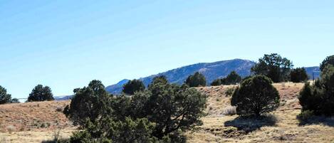 A natural landscape with a hill, trees, and a clear sky.