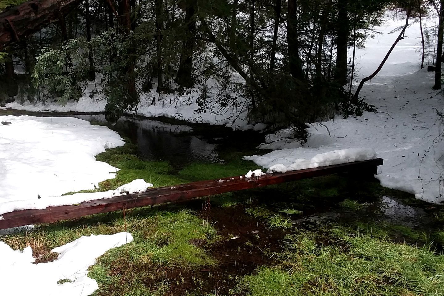 Paisaje natural con un puente de madera sobre un arroyo, rodeado de nieve y árboles.