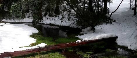Paisaje natural con un puente de madera sobre un arroyo, rodeado de nieve y árboles.