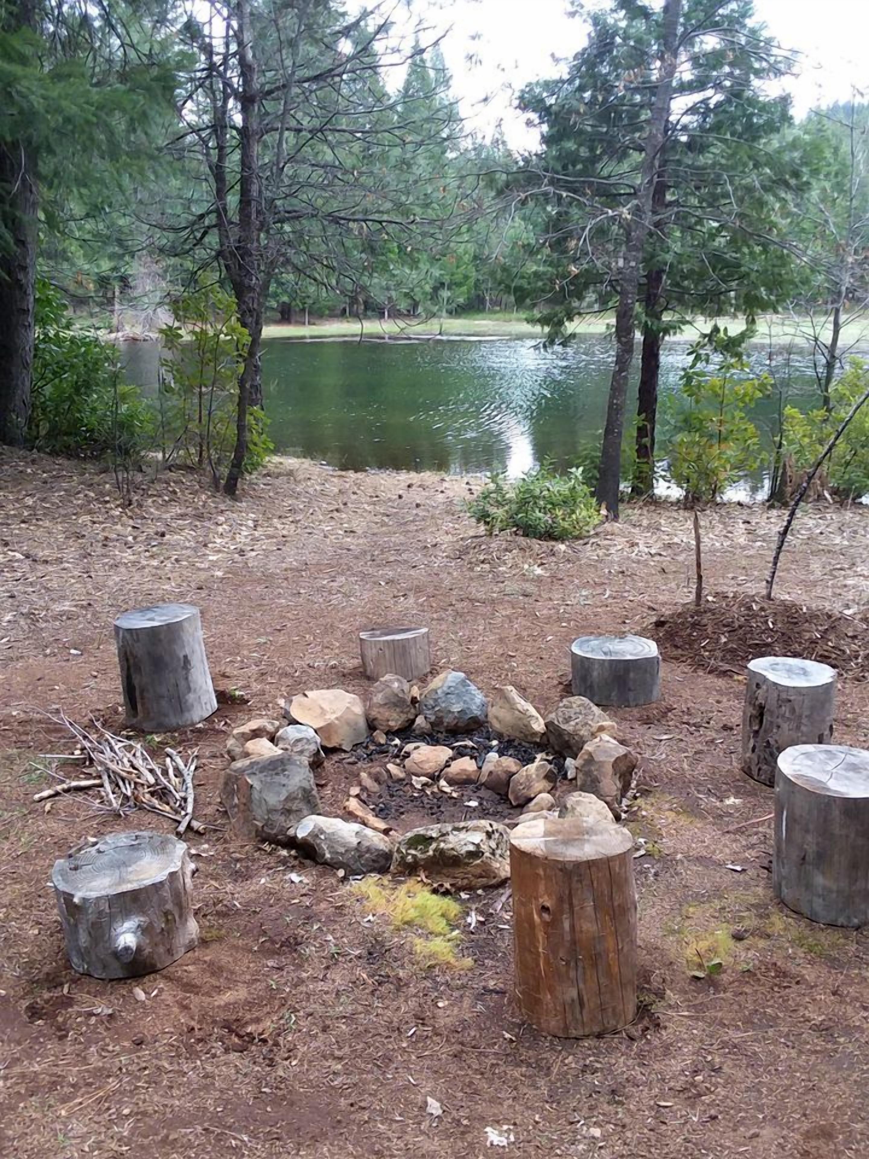 Una fogata rodeada de rocas y tocones de madera, con un lago y árboles al fondo.