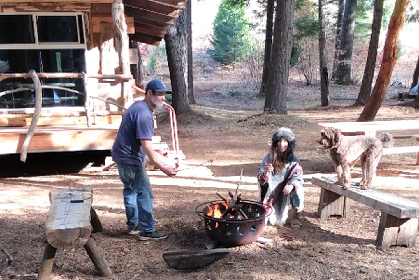 A rustic outdoor setting with a fire pit, wooden structures, and a dog.