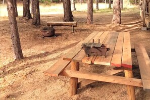 A picnic table with a portable grill and a bench in a wooded area.