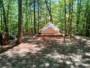 Un terrain de camping boisé avec une seule tente, entouré d’arbres et d’une pile de bois de chauffage.