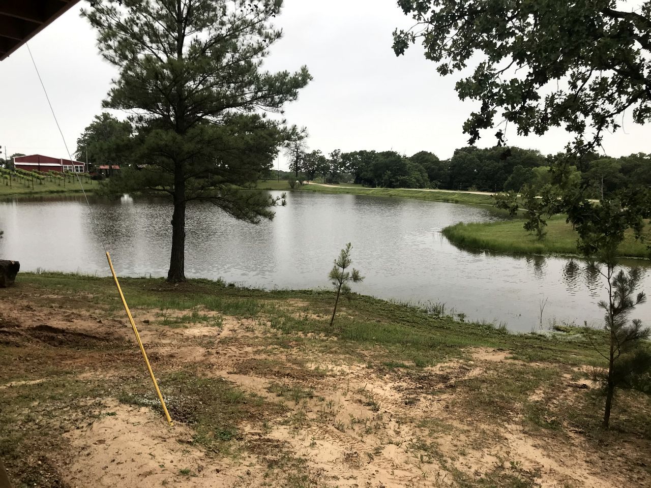 A lakeside view with a fishing rod, trees, and a building in the background.