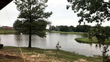 A lakeside view with a fishing rod, trees, and a building in the background.