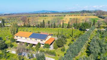 A house with a solar panel roof, surrounded by green fields and trees.
