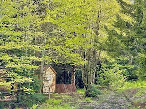 Exterior - Cozy Off-Grid Cabin with Breathtaking Serene Views for a Peaceful Getaway Surrounded by Nature in Barton, Vermont (Barton)