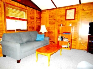 TV, stereo - Rustic Cabin Rental near Akron, Ohio (Dellroy)