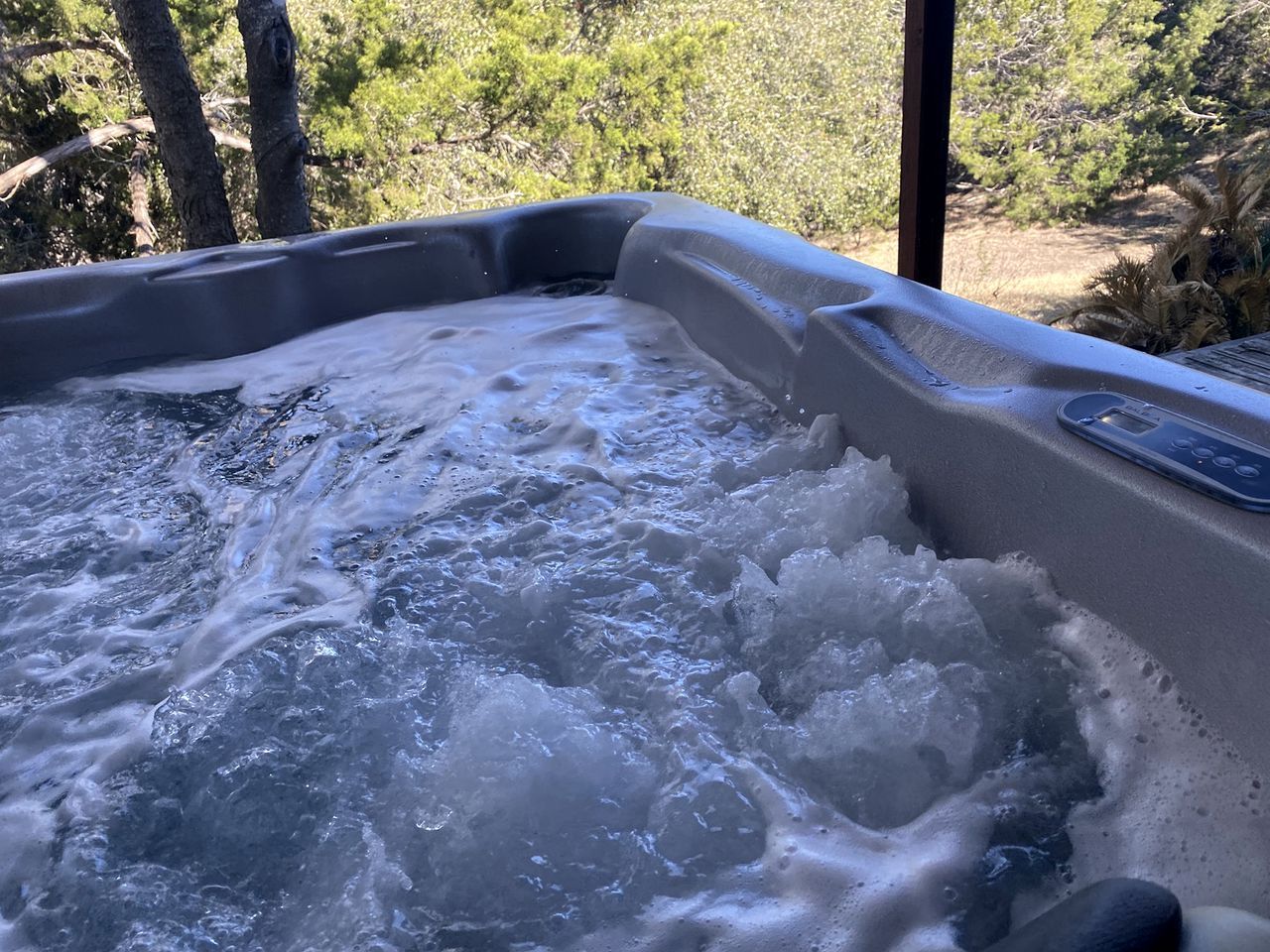 Ein Whirlpool mit Wasser, umgeben von Bäumen.