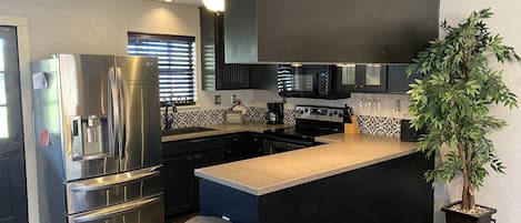 A modern kitchen with stainless steel appliances, a black countertop island, and a potted plant.