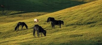 Private access 300 Acers Camping Livermore. TEXT 650-781-2139