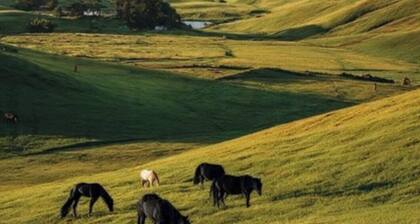 Private access 300 Acers Camping Livermore. TEXT 650-781-2139