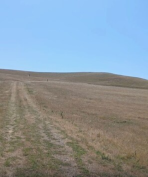 Miscellaneous - Private access to 300 Acres of Rolling Hills Livermore.  TEXT 650-781-2139 (Livermore)