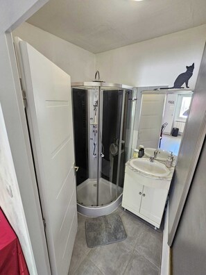 Shower, towels, soap, toilet paper - Gîte and table d'hôtes Le Clérano, 35 min from Mont Ventoux, quiet location with swimming pool (Mormoiron)