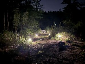 Cena noturna com um caminho que leva a uma construção iluminada em uma área arborizada.