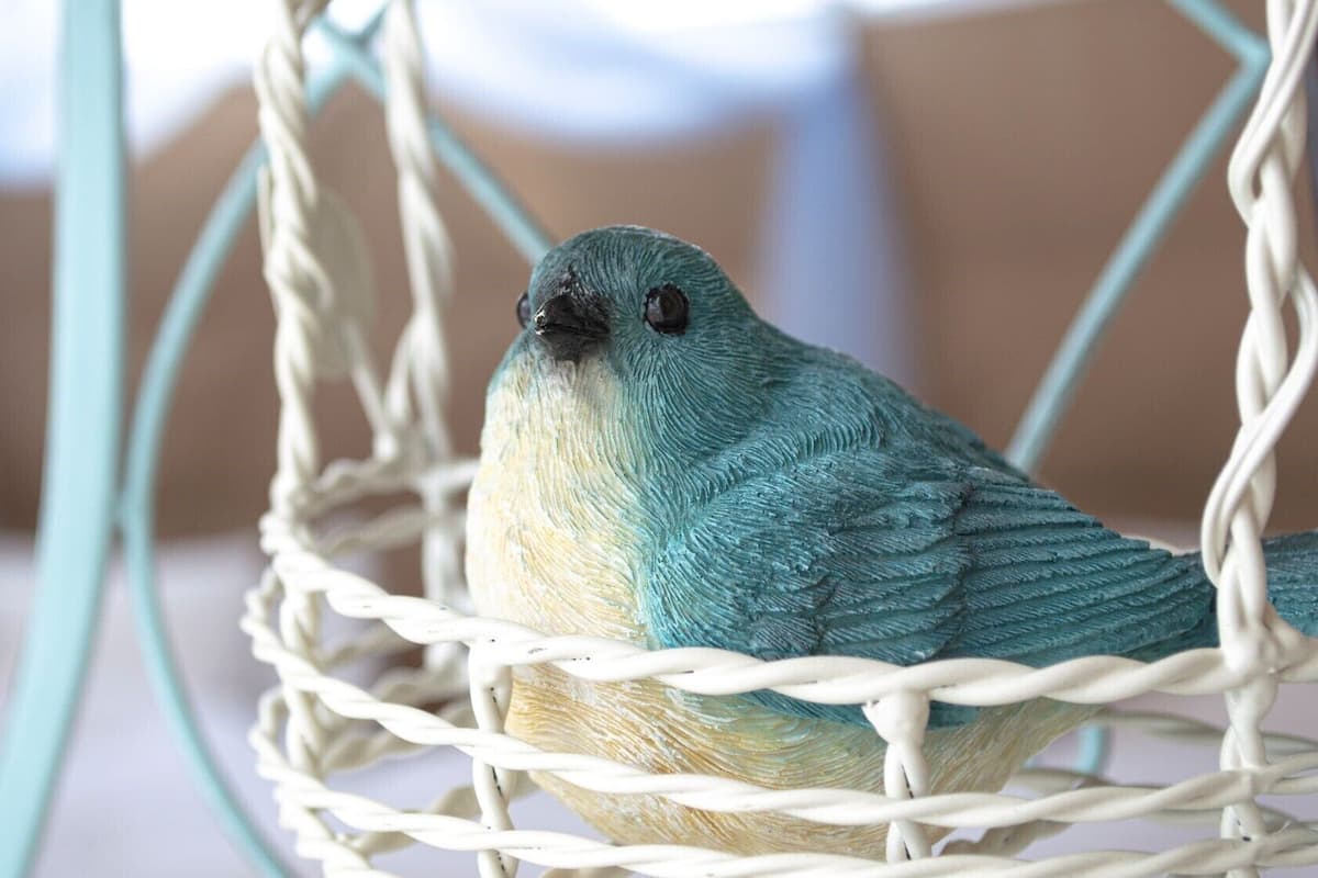 A bird in a woven basket.