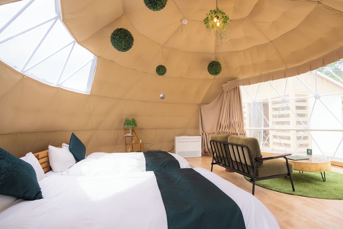 Tent, Non Smoking (Forest) | View from room