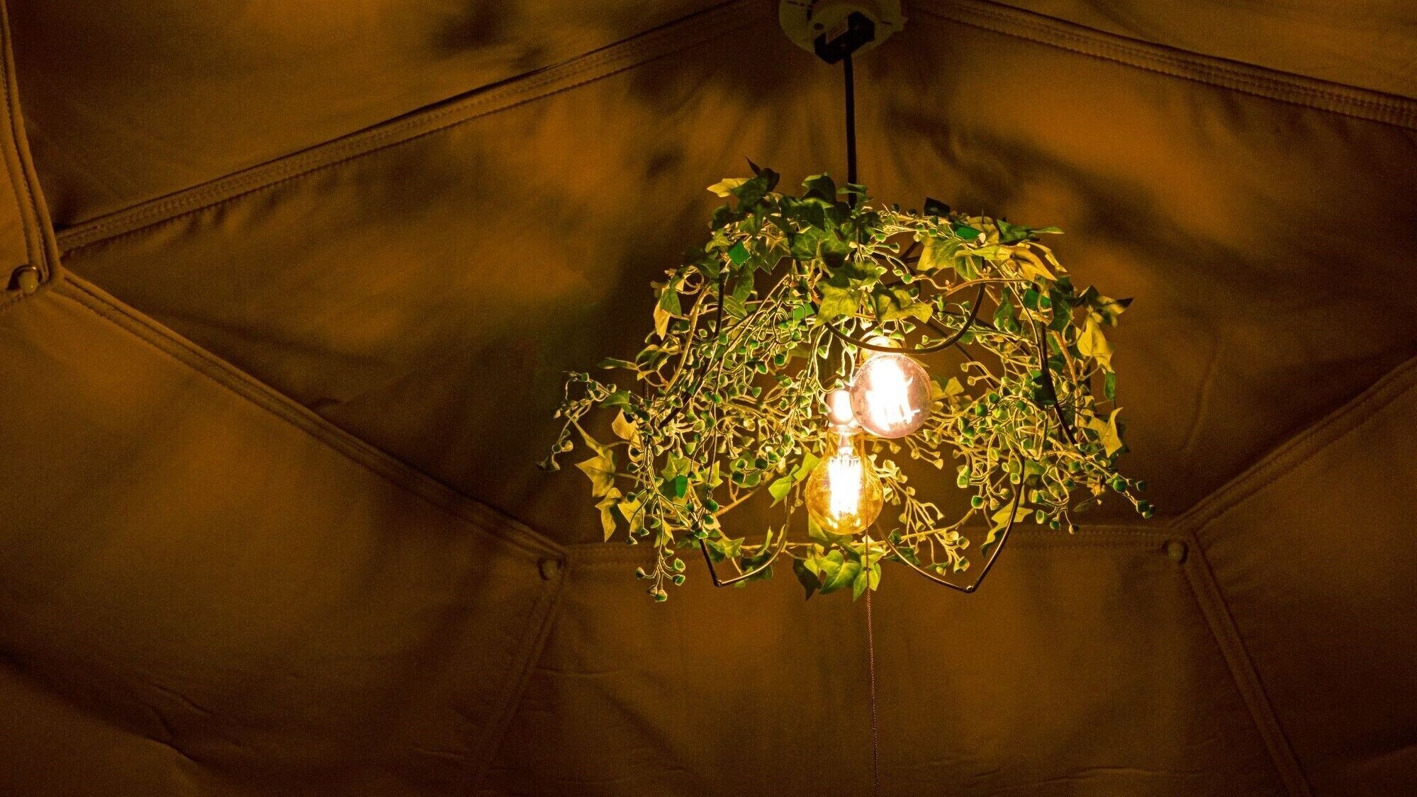 A tent with a hanging light fixture featuring two bulbs and green foliage.