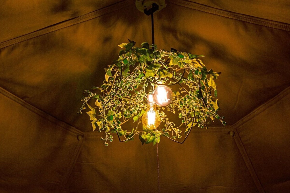 A tent with a hanging light fixture featuring two bulbs and green foliage.