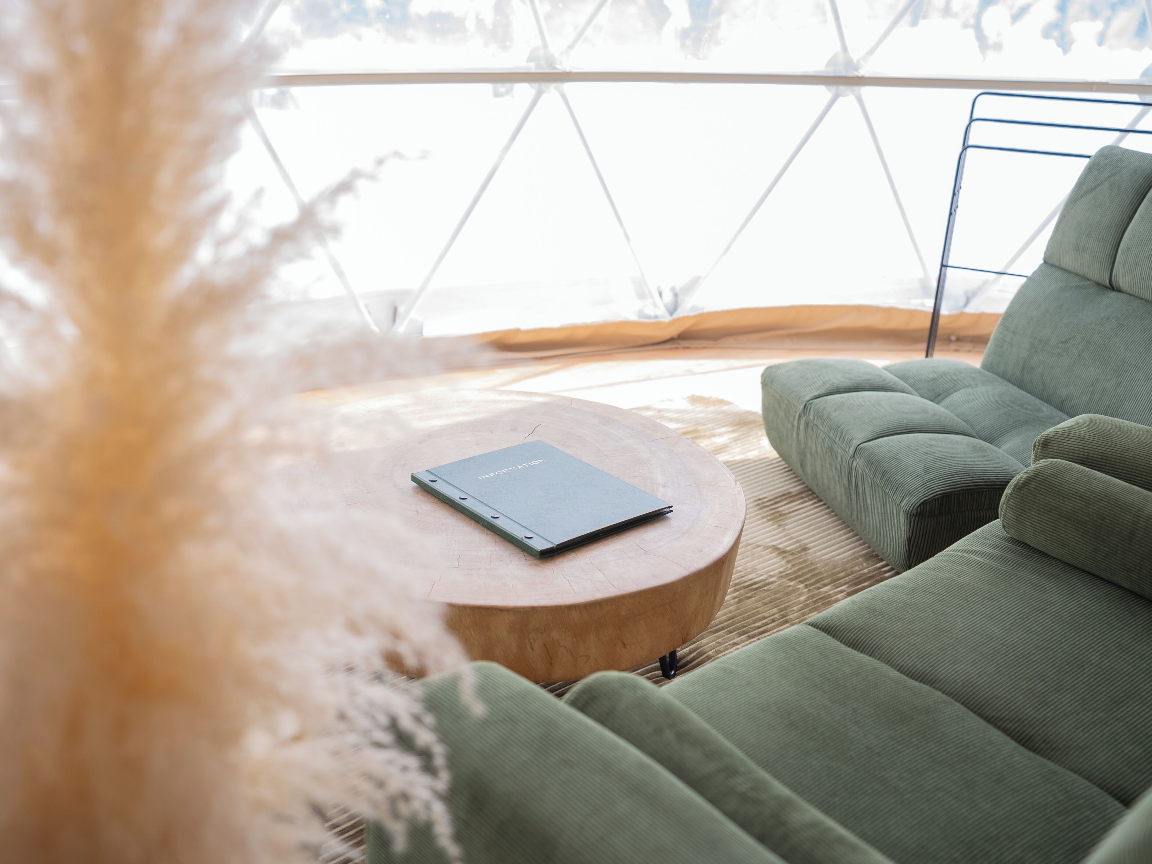 A modern interior with a green sofa, a round wooden table, and a book titled 'INFORMATION'.